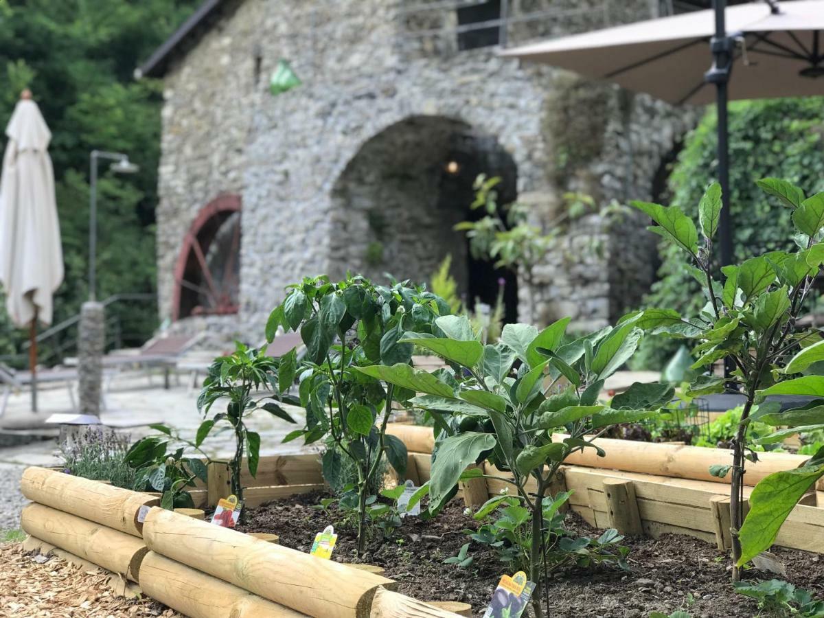 Villa Old Mill Pigna Exterior foto